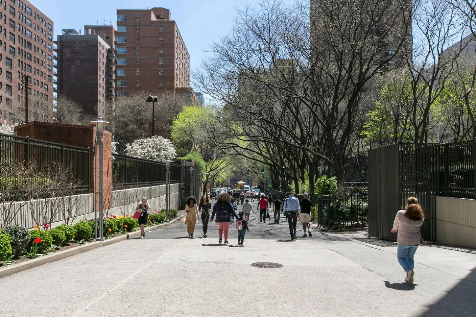 纽约Kips Bay 1Br W Doorman Wd Nr Hospitals Nyc-1272公寓 公寓 纽约